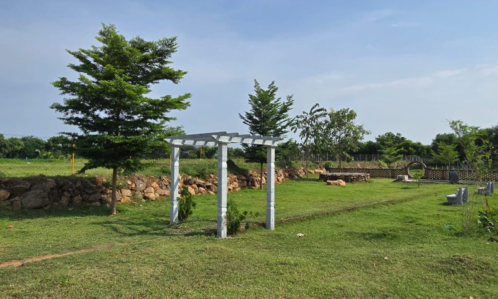 Premium farmhouse for sale by Adiya Properties with spacious design and greenery