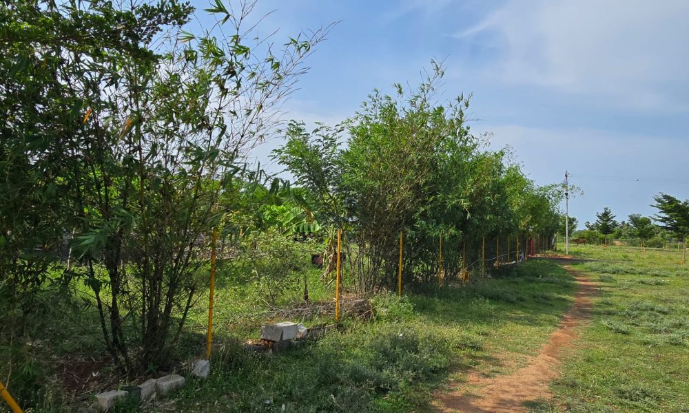 Premium Farmhouse for Sale | Adiya Properties